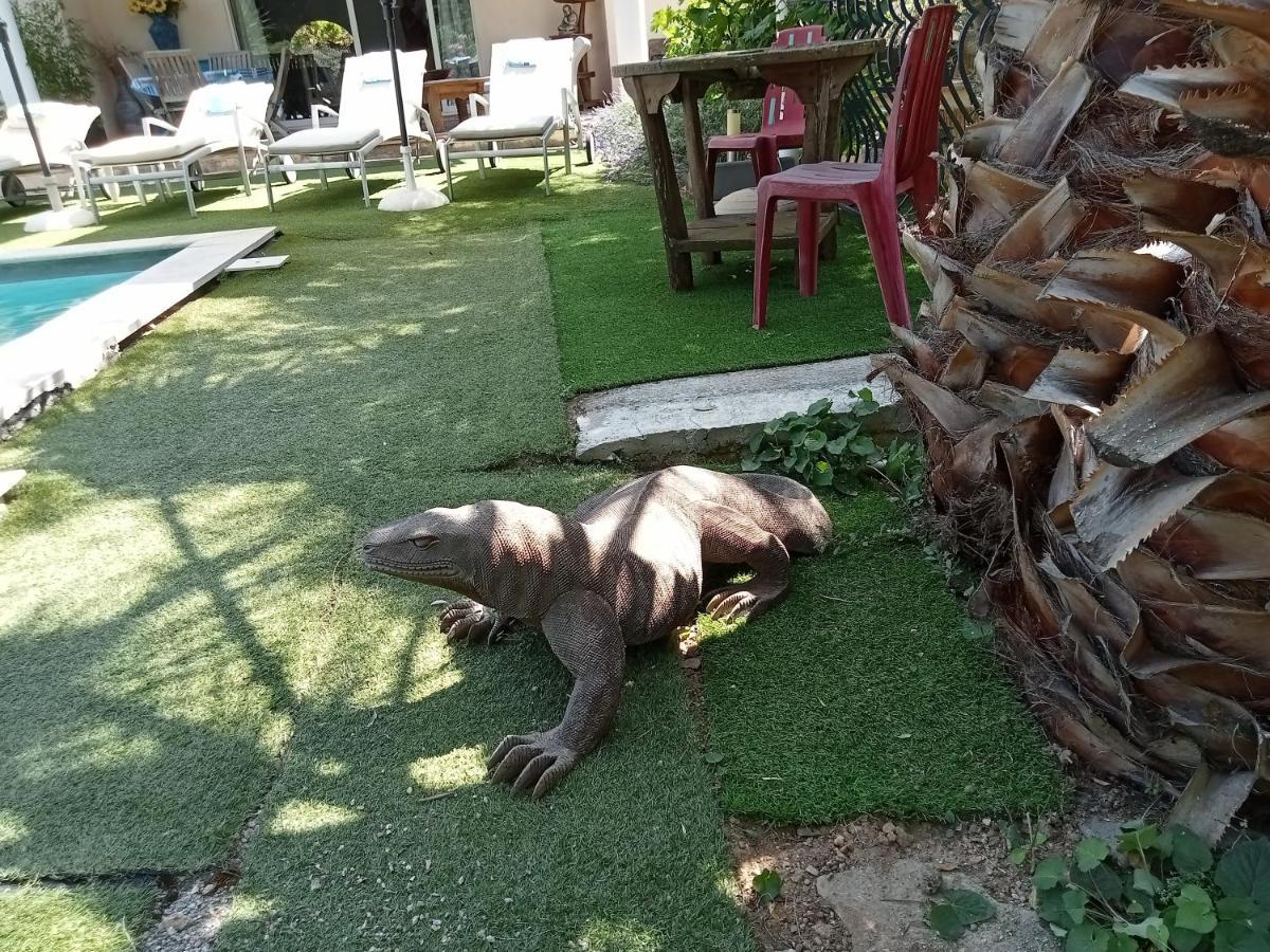 Villa La Croisette 생트막시메 외부 사진